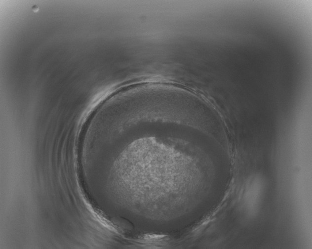 X0000077360055200610271905