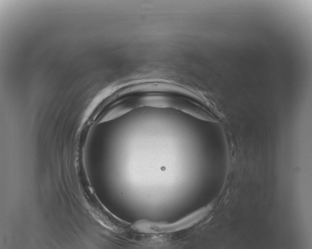 X0000077360056200610271905