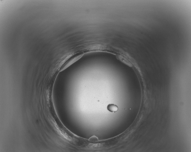 X0000077360057200610271905