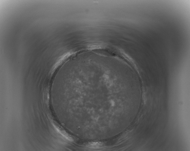 X0000077360059200610271905