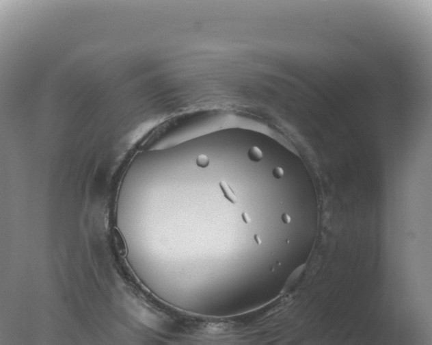 X0000077360060200610271905