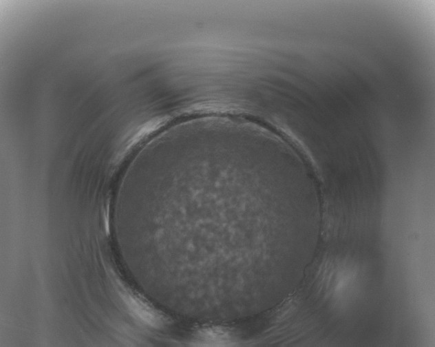 X0000077360062200610271905