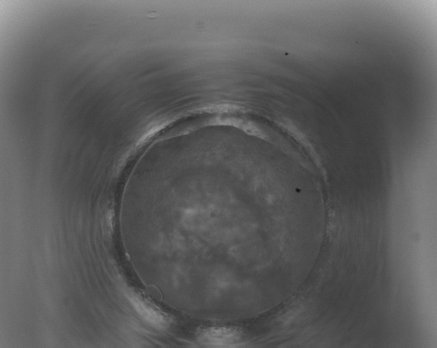 X0000077360063200610271905