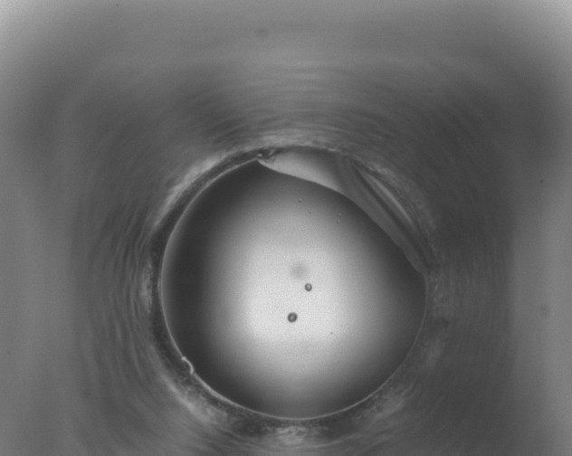 X0000077360064200610271905