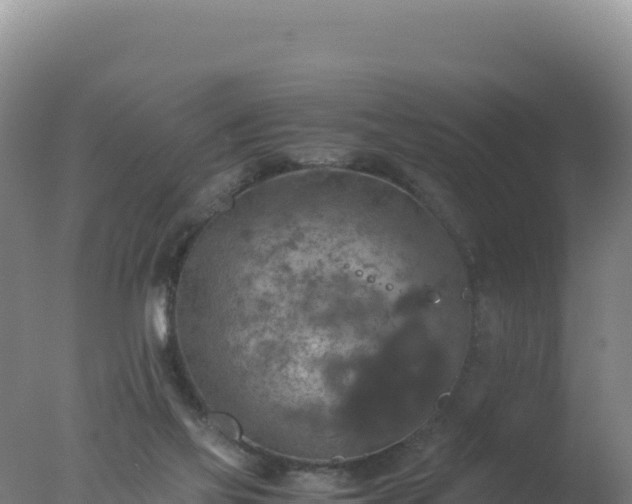 X0000077360069200610271905