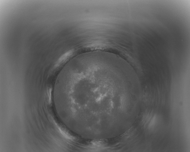 X0000077360070200610271905