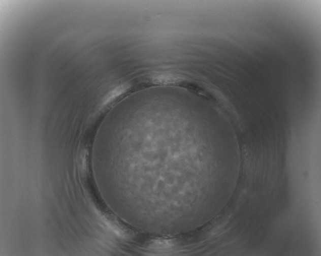 X0000077360071200610271905