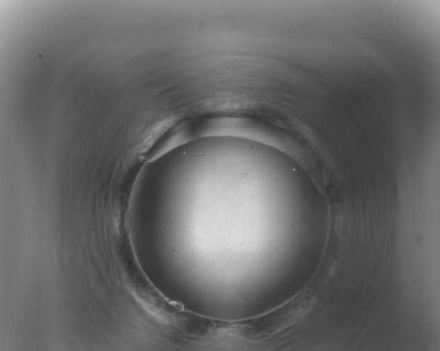 X0000077360072200610271905