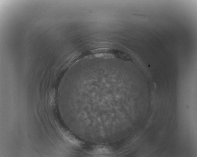 X0000077360073200610271905