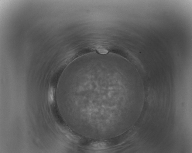 X0000077360075200610271905