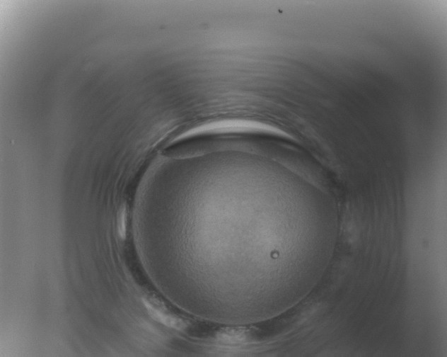 X0000077360076200610271905