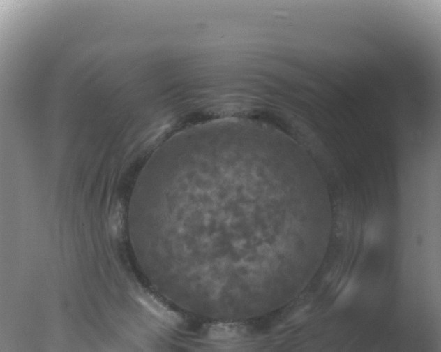 X0000077360077200610271905