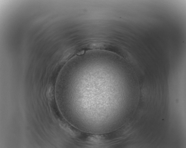 X0000077360079200610271905