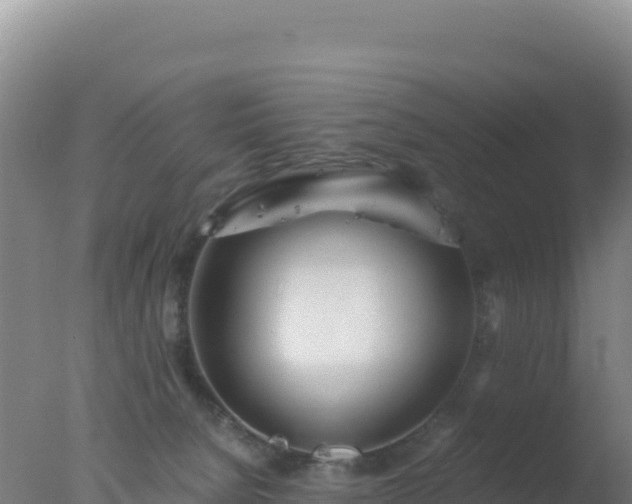 X0000077360080200610271905