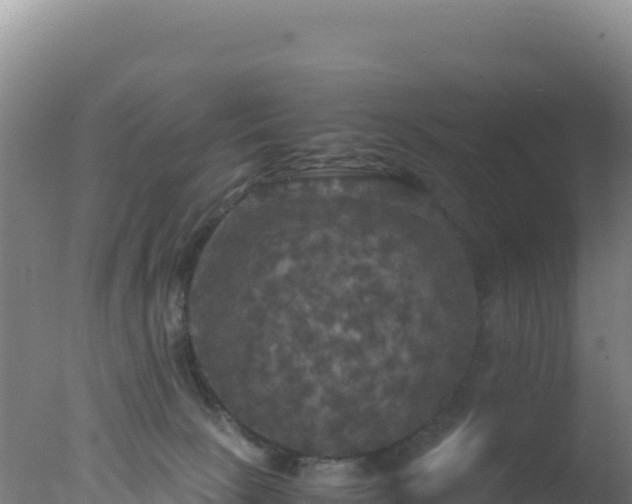 X0000077360081200610271905