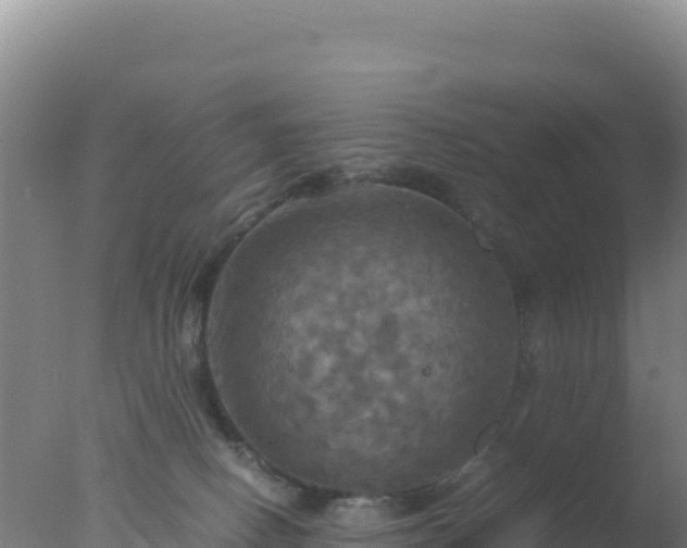 X0000077360082200610271905