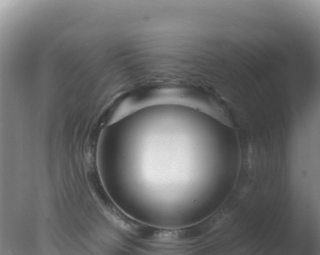 X0000077360084200610271905