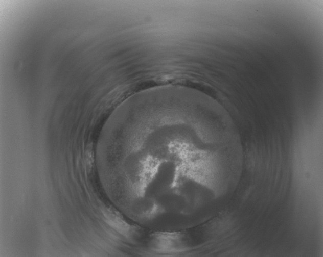 X0000077360085200610271905