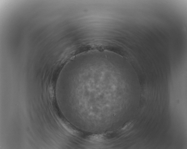 X0000077360086200610271905