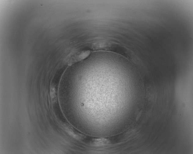 X0000077360087200610271905