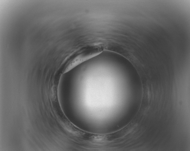 X0000077360088200610271905