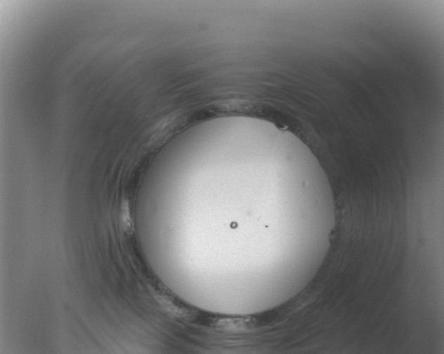 X0000077360089200610271905