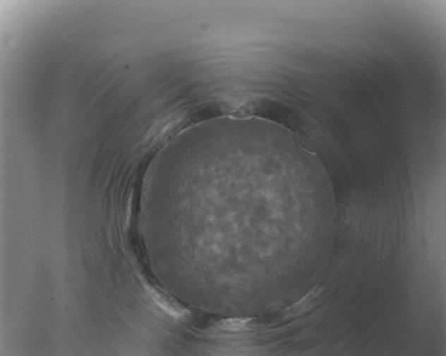 X0000077360090200610271905