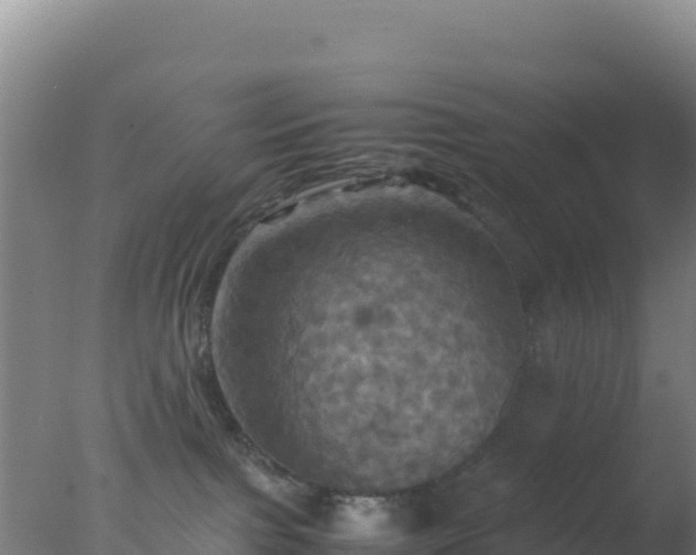 X0000077360091200610271905