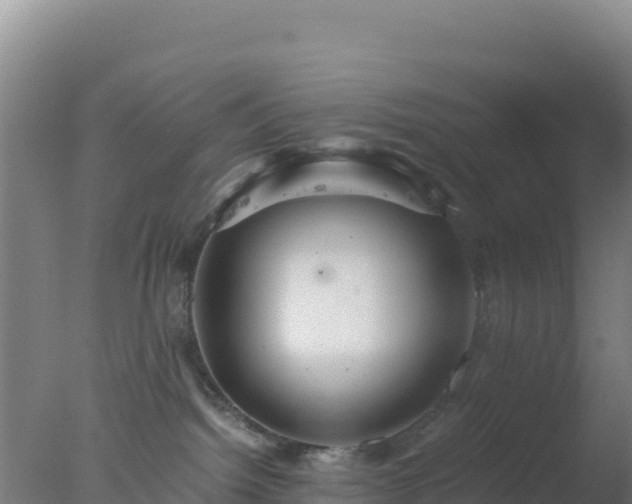 X0000077360092200610271905