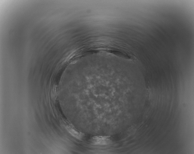 X0000077360093200610271905