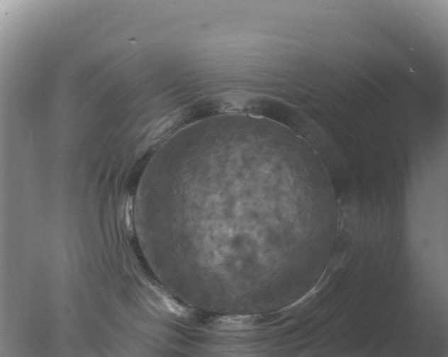 X0000077360094200610271905