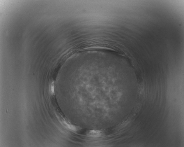 X0000077360095200610271905