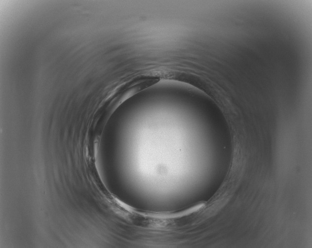 X0000077360096200610271905