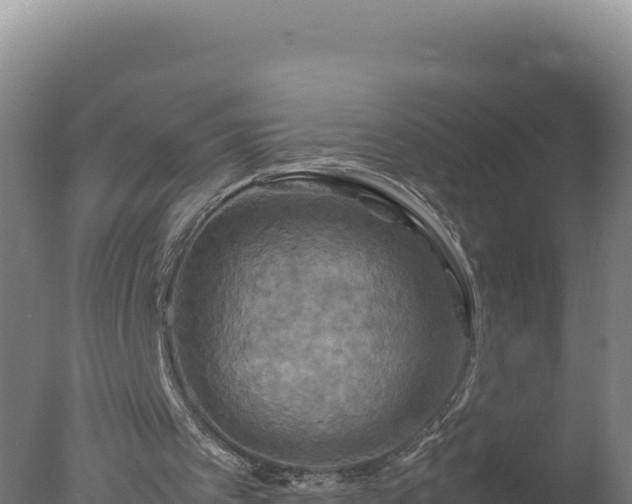 X0000077360097200610271904