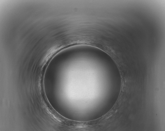 X0000077360098200610271904