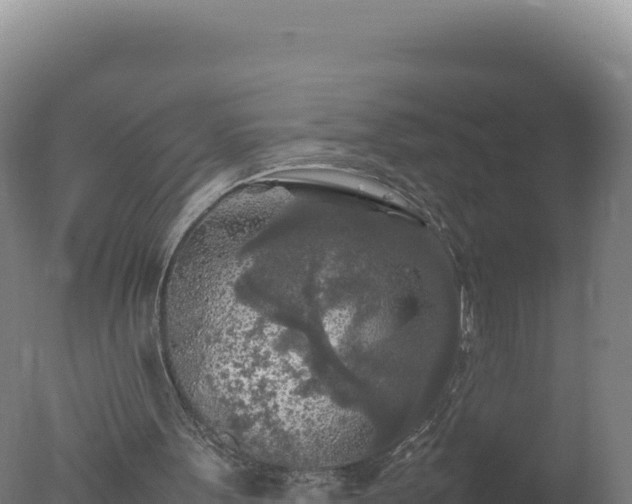 X0000077360099200610271904