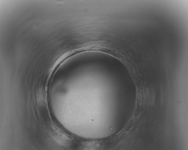 X0000077360100200610271904