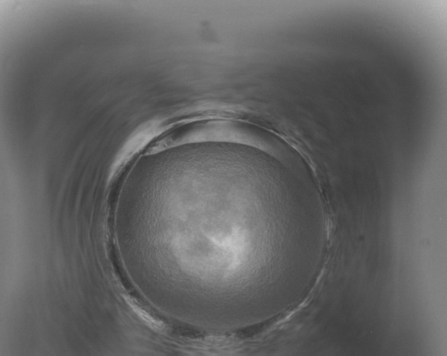 X0000077360101200610271904