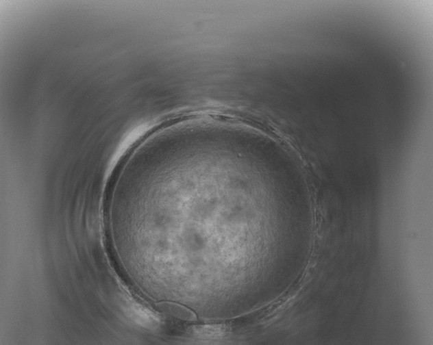 X0000077360102200610271904