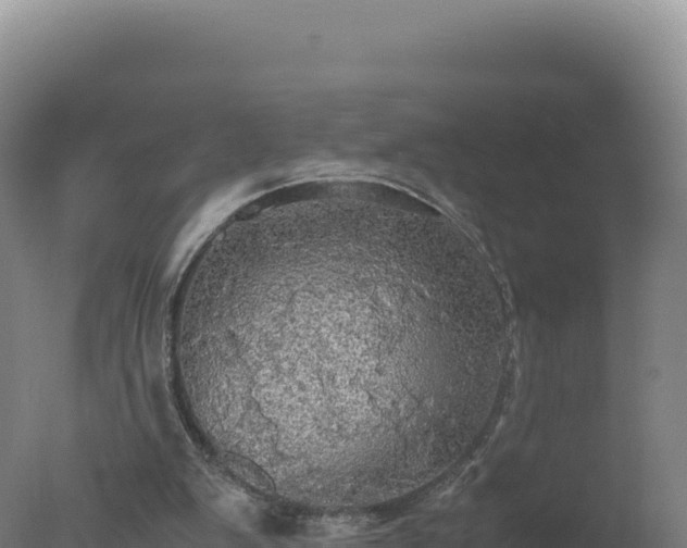 X0000077360103200610271904