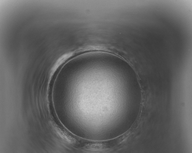 X0000077360104200610271904