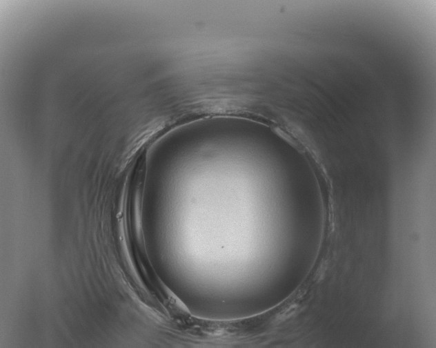 X0000077360105200610271904