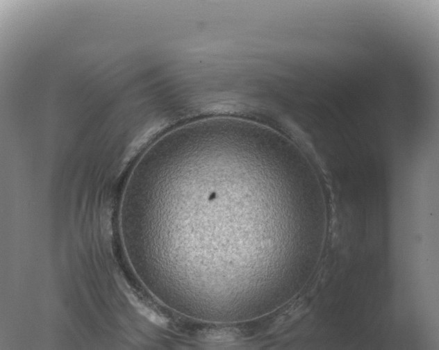 X0000077360106200610271904