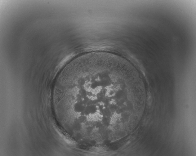 X0000077360107200610271904