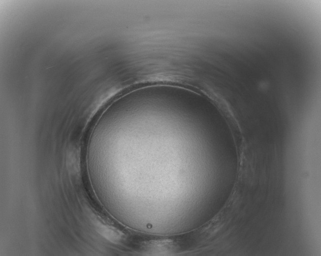 X0000077360108200610271904