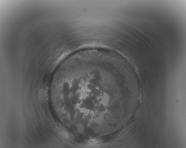 X0000077360111200610271904