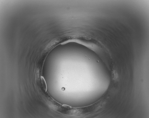 X0000077360117200610271904