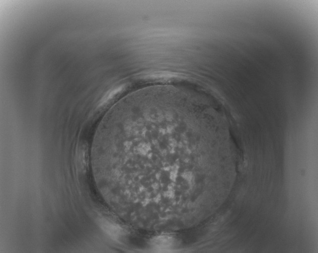 X0000077360119200610271904