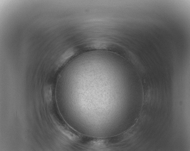 X0000077360120200610271904