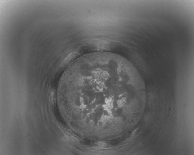 X0000077360123200610271904